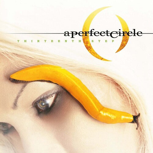 A Perfect Circle - Thirteenth Step (Record)