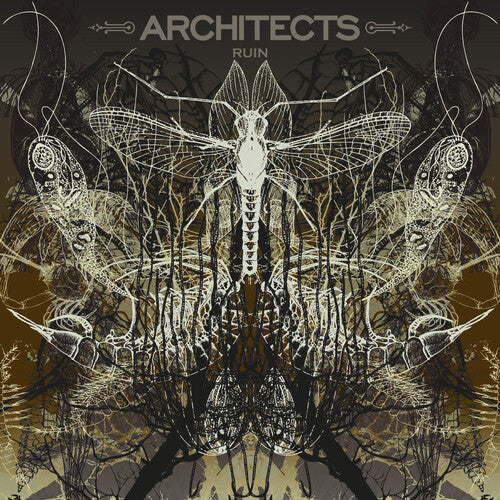 Architects - Ruin (Record)