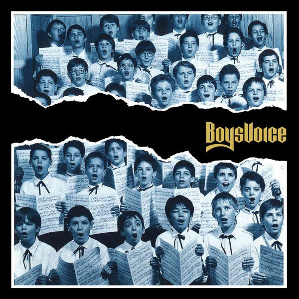 Boysvoice - Boysvoice (CD)