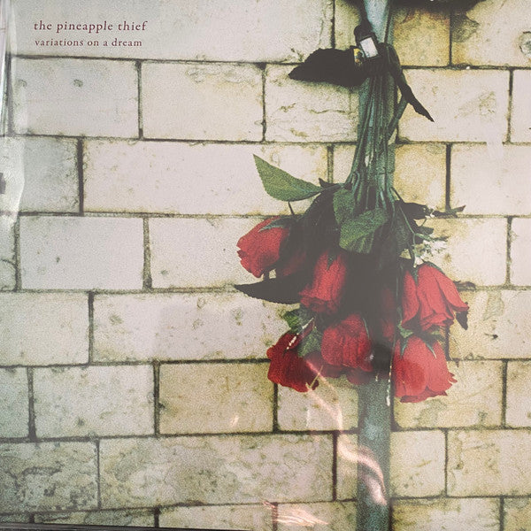 Pineapple Thief, The - Variations On A Dream (Record)