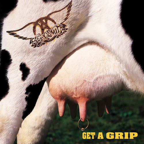 Aerosmith - Get A Grip (Record)