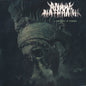 Anaal Nathrakh - A New Kind Of Horror (Record)