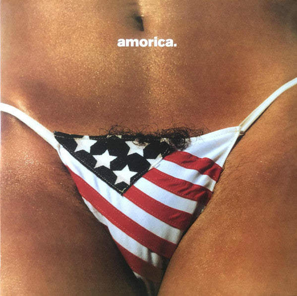 Black Crowes, The - Amorica (Record)