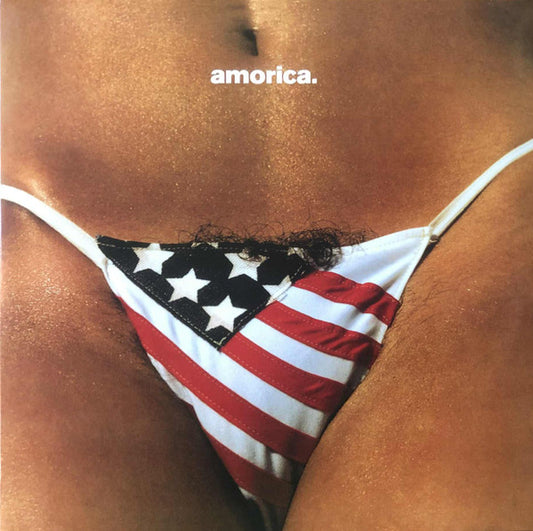 Black Crowes, The - Amorica (Record)