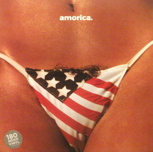Black Crowes, The - Amorica (Record) 2015