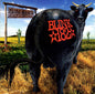 Blink 182 - Dude Ranch (CD)