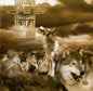 Fate - V (CD)