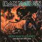 Iron Maiden - From Fear To Eternity: The Best Of 1990-2010 (Record)
