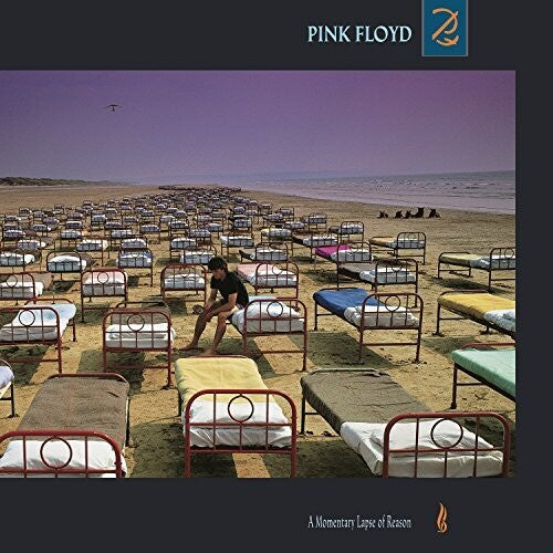 Pink Floyd - A Momentary Lapse Of Reason (Record)