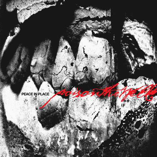 Poison The Well - Peace In Place (CD)