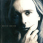 Robin Zander - Robin Zander (Japan)(CD)