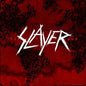 Slayer - World Painted Blood (Record)