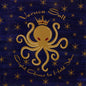 Veruca Salt - Eight Arms To Hold You (Record)
